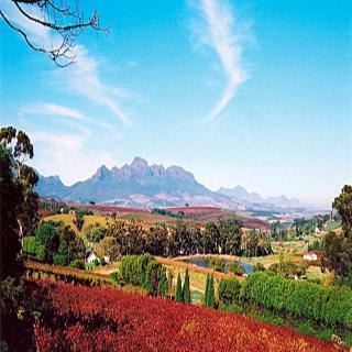 The Devon Valley Hotel