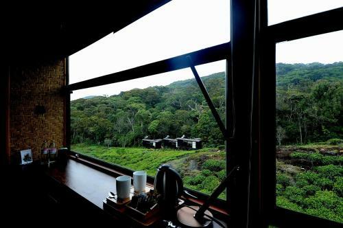 The Rainforest Ecolodge - Sinharaja
