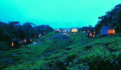 The Rainforest Ecolodge - Sinharaja