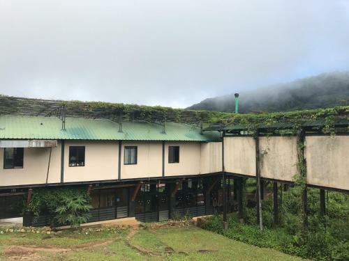 The Rainforest Ecolodge - Sinharaja