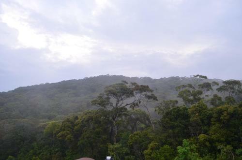 The Rainforest Ecolodge - Sinharaja