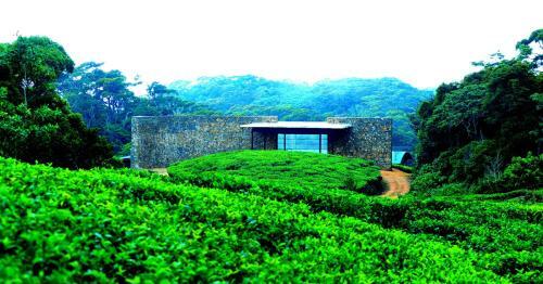 The Rainforest Ecolodge - Sinharaja