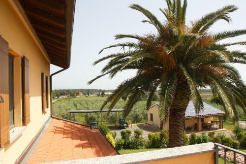 Agroturismo Casa Vacanza Il Malandrone