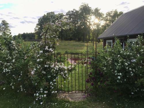 Bed & Breakfast Sj�backen G�rd