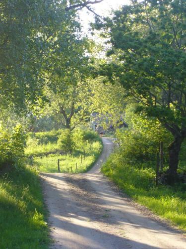 Bed & Breakfast Sj�backen G�rd