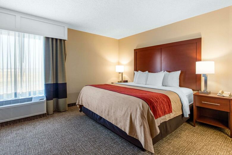 Hotel Comfort Inn And Suites - Airport