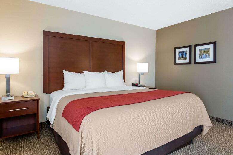 Hotel Comfort Inn And Suites - Airport