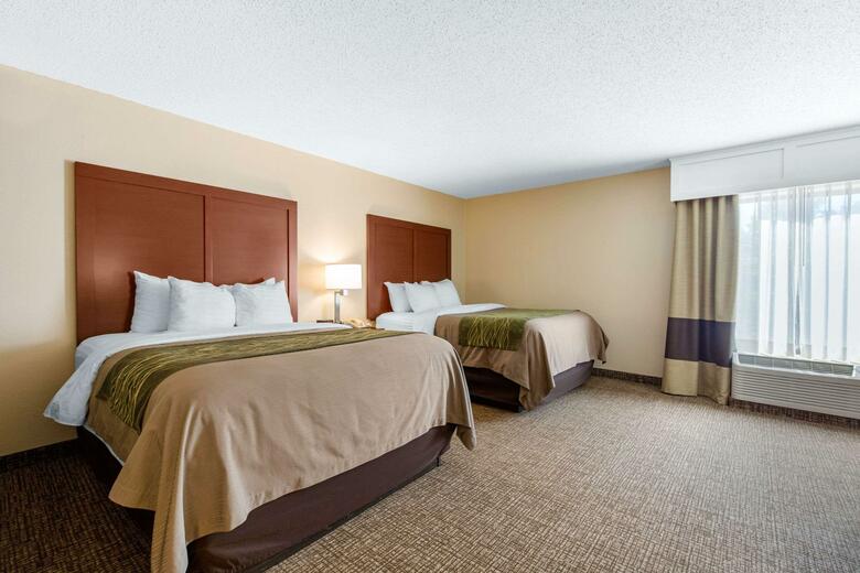 Hotel Comfort Inn And Suites - Airport
