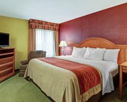 Hotel Comfort Inn And Suites - Airport