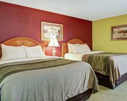 Hotel Comfort Inn And Suites - Airport