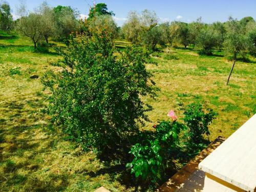 B&B Maremma Nel Tufo