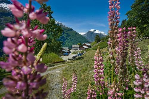 Agroturismo Wester�s Gard