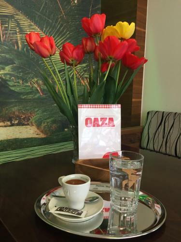 Hotel Oaza