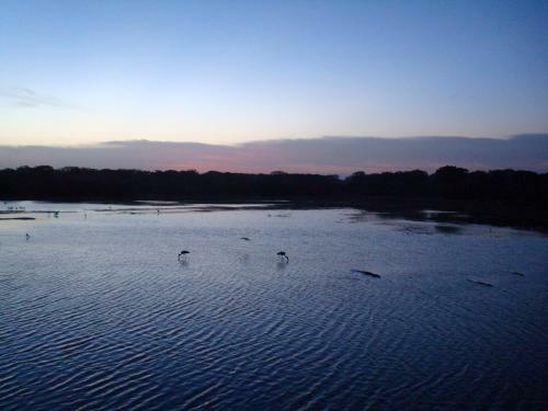 Hotel Mahoora Tented Safari Camp - Bundala