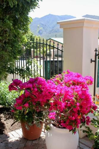Bed & Breakfast Somerset Lodge