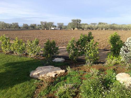 Agroturismo Masseria Galleppa
