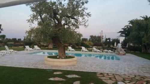 Agroturismo Masseria Galleppa