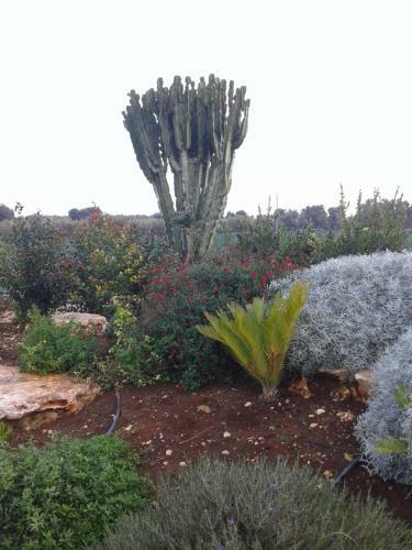 Agroturismo Masseria Galleppa