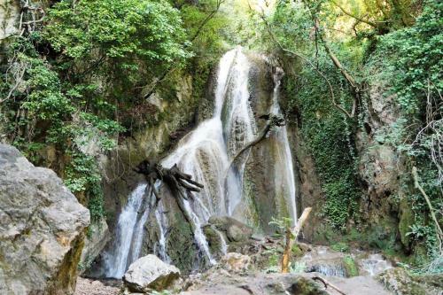 Apartamento B&B Il Sentiero Nel Bosco