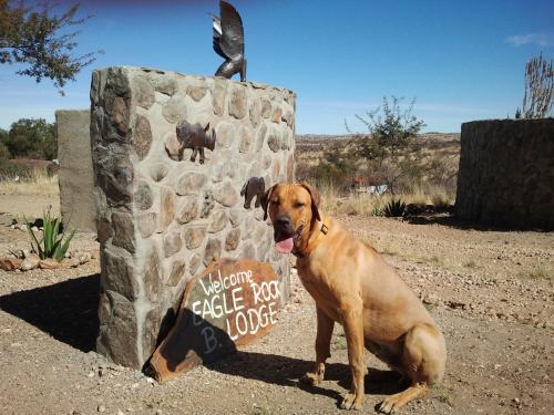 Eagle Rock Guest-farm And Business Lodge