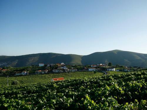 Agroturismo Quinta Manhas Douro