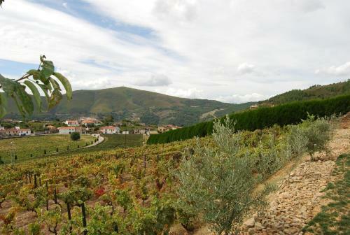 Agroturismo Quinta Manhas Douro