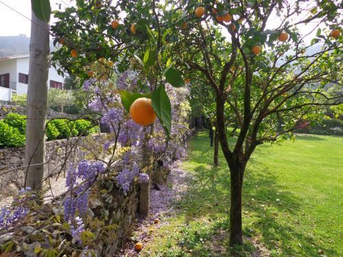 Agroturismo Casa Da Eira De Moledo