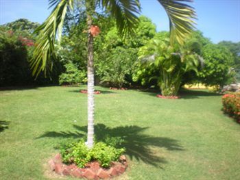 Hotel Villa Sonate