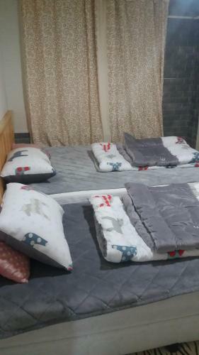 Albergue Jeju B.p. Home