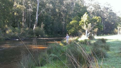 Hostal Pear Tree Cottage Bed And Breakfast