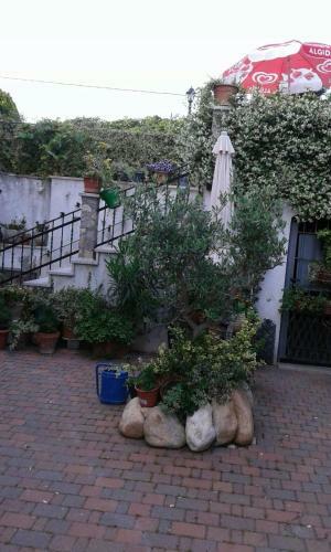 B&B Ren�