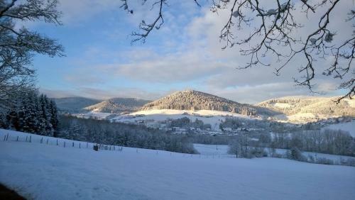 Apartamento Schwarzwald-ferienwohnungen Begert