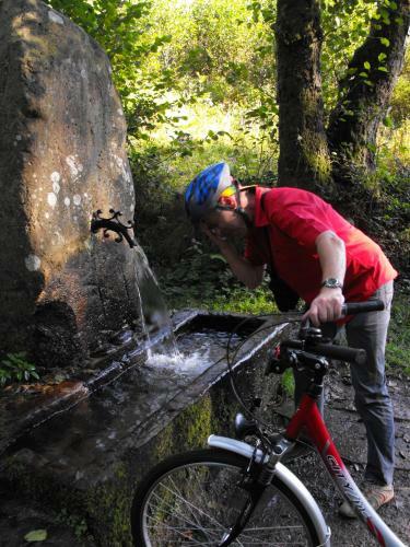 Apartamento Schwarzwald-ferienwohnungen Begert