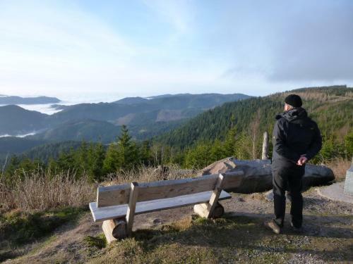 Apartamento Schwarzwald-ferienwohnungen Begert