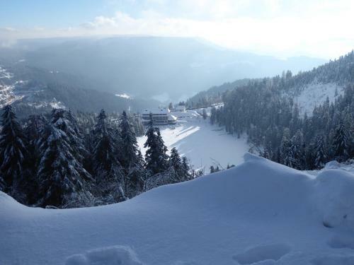 Apartamento Schwarzwald-ferienwohnungen Begert