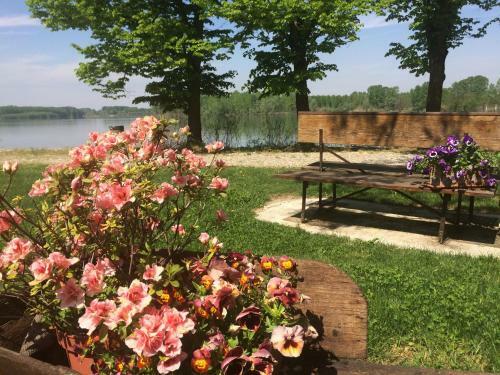 Hostal La Finestra Sul Po - Agriturismo