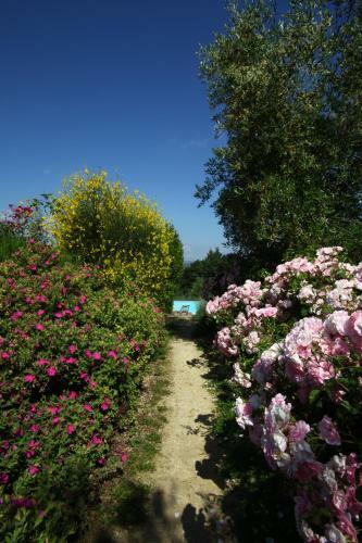 Agroturismo Podere Il Pino
