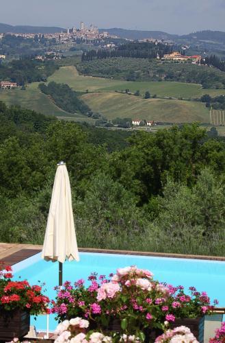 Agroturismo Podere Il Pino