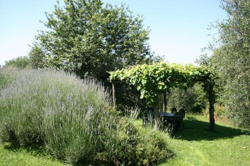 Agroturismo Podere Il Pino