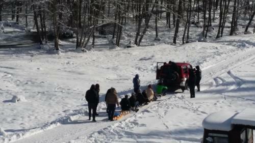 Lodge Cabana Barlogul Lupilor