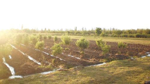 Agroturismo La Martina Casa De Campo