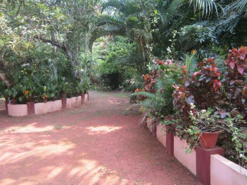 Bed & Breakfast Gk`s Riverview Homestay