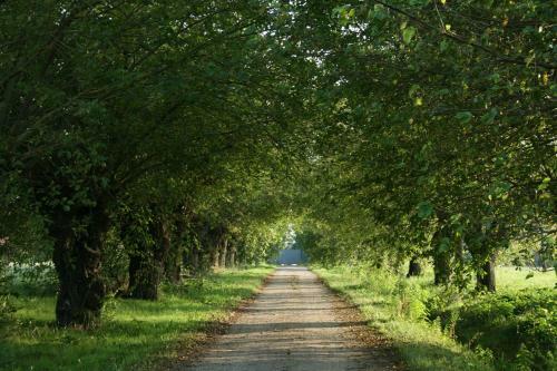 Agroturismo Tenuta Rivalazzo