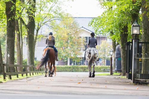Human & Horse Hotel