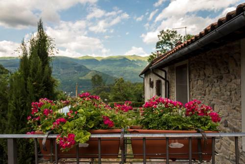Agroturismo I 3 Porcellini