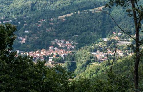 Agroturismo I 3 Porcellini