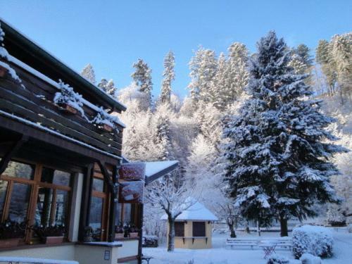 Hotel Au Vieux Moulin