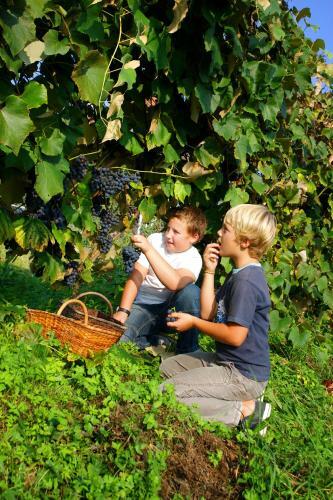 Apartamentos Farm Stay Pirc