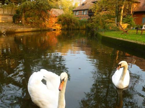 Hotel H�tel Le Moulin