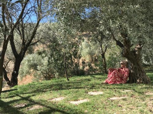 Agroturismo Cortijo La Fe - Spa